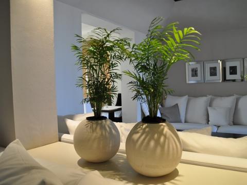 Mary Margaret S Lee S Summit Mo 198 Nw Oldham Pkwy Furniture Stores